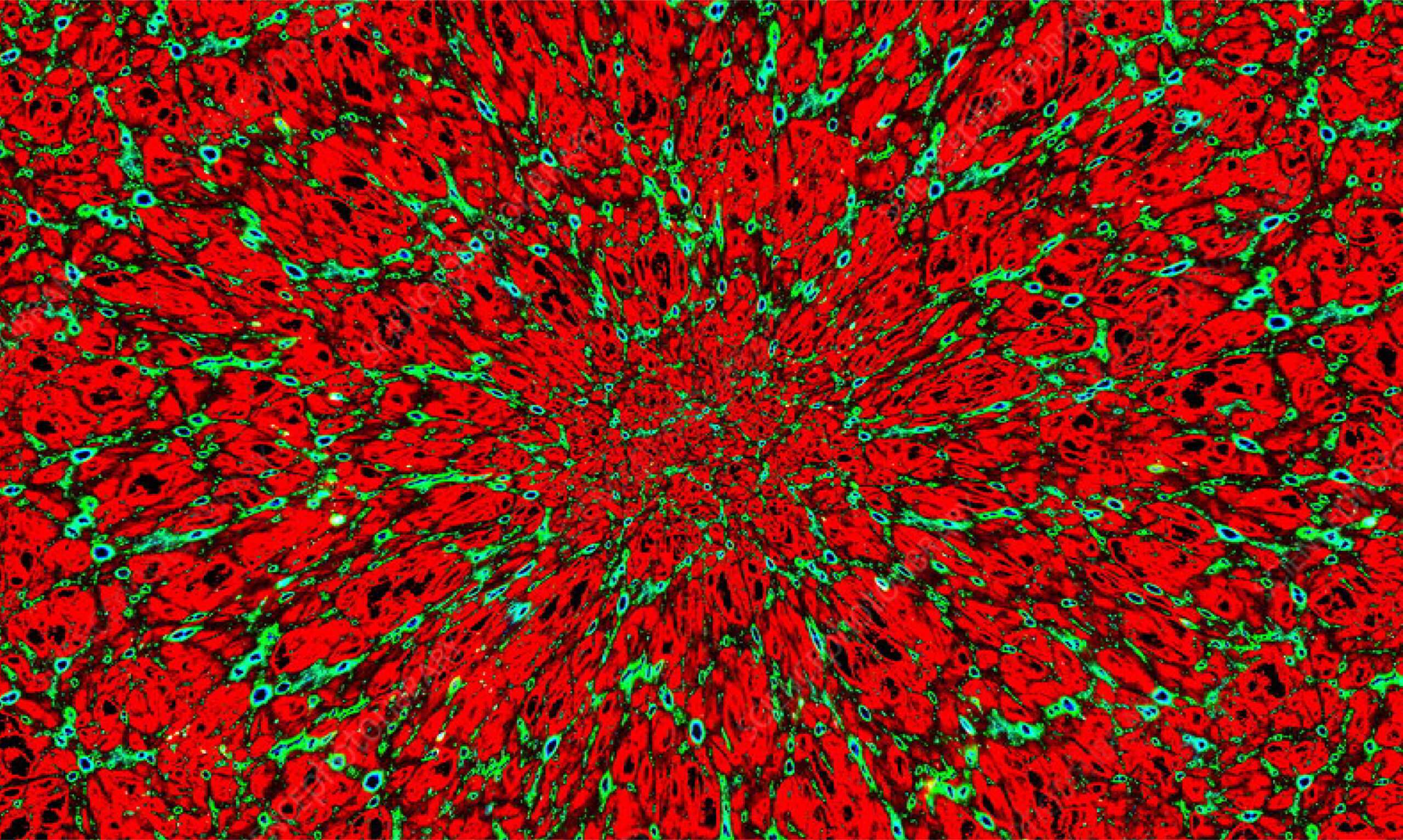 Color image of a neuronal network representing modern psychiatry.